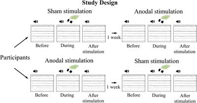 No Effect of Transcranial Direct Current Stimulation of the Auditory Cortex on Auditory-Evoked Potentials